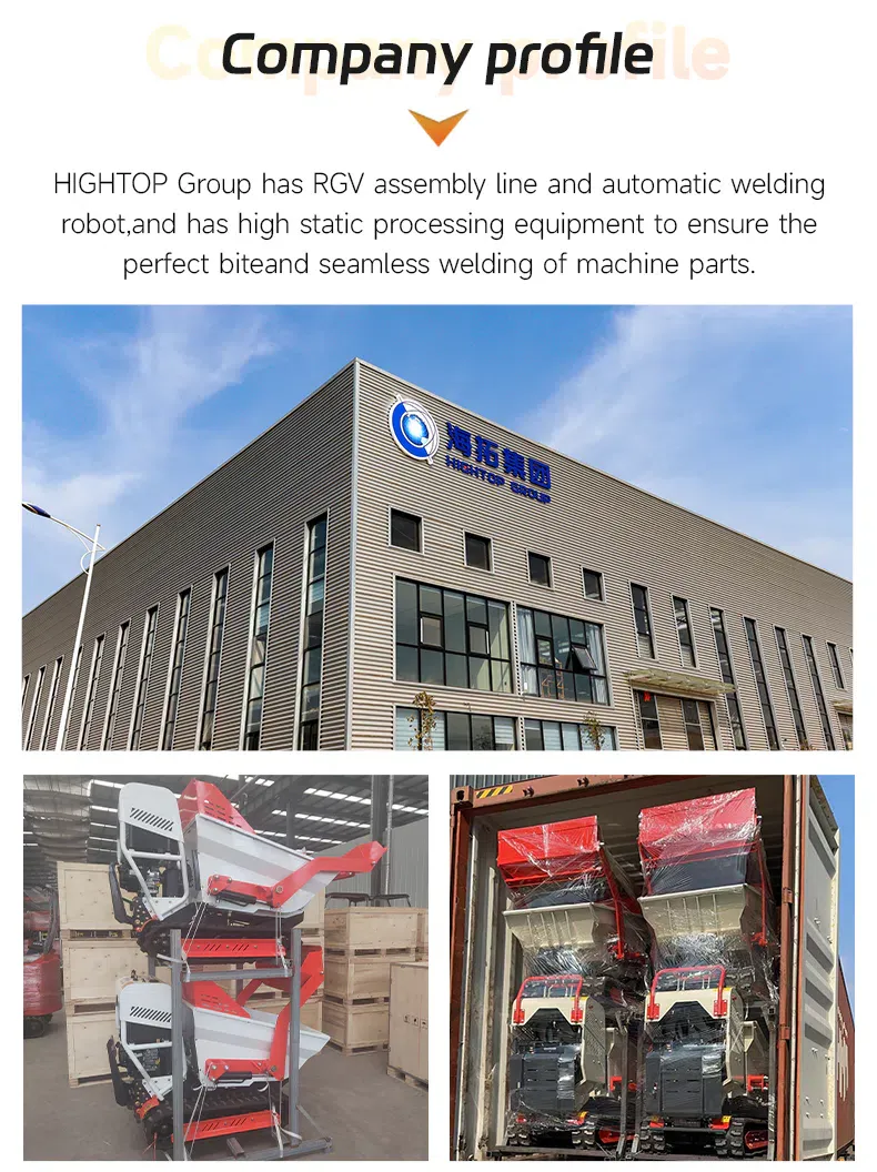 Company profile